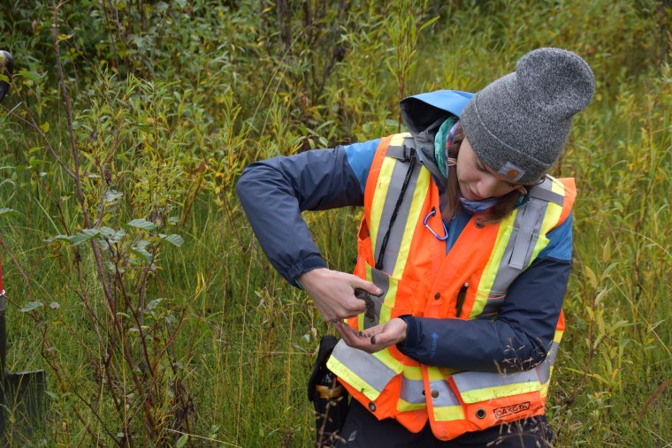 The Wetlands Workforce Story