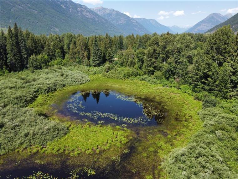 Why Wetlands?