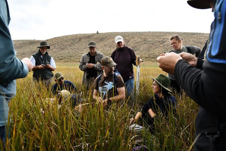 2023: A Year of Impact with the BCWF Watershed Team 