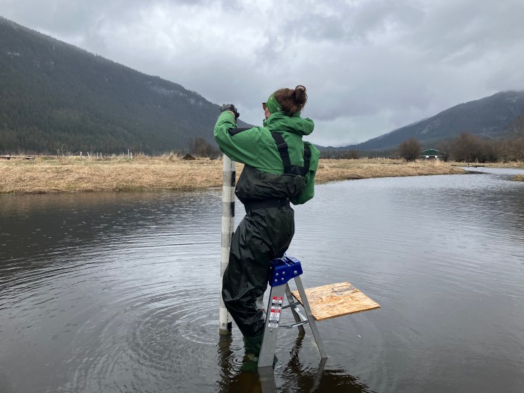 Celebrating World Wetlands Day with the B.C. Wildlife Federation’s Watershed Team 