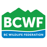BCWF Watershed Team